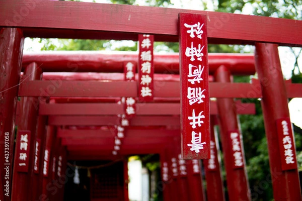 Obraz 豪雨被害の青井阿蘇神社　鳥居