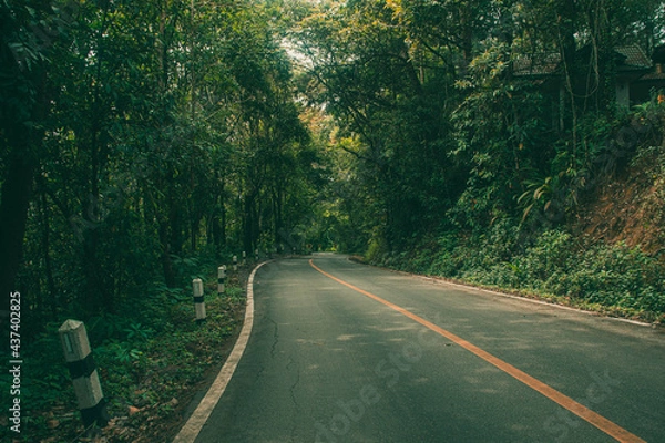 Fototapeta Road with green forest nature on both sides and bright sunlight