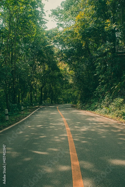 Obraz Road with green forest nature on both sides and bright sunlight