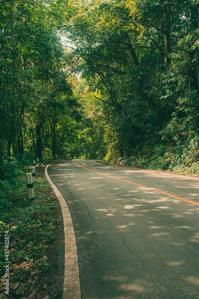 Obraz Road with green forest nature on both sides and bright sunlight