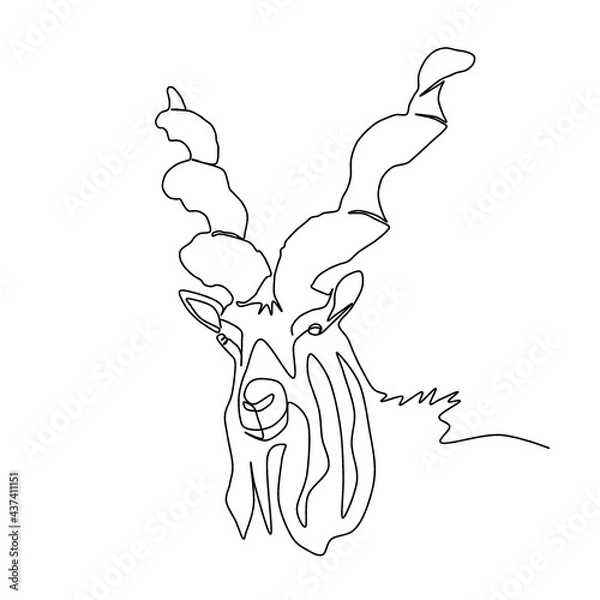 Fototapeta A sketch of Capra Falconeri. Illustration - One line. The Marhor is a rare Wild animal. Bukhara markhor. Capra falconeri heptneri, or Turkmen markhor.