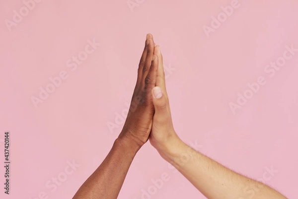 Fototapeta Hands of Caucasian man and black African American giving each other five on pink background. The concept of racism and all lives matter