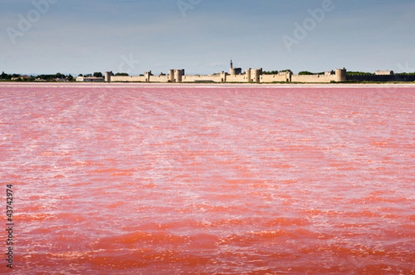 Obraz Les salins d'aigues mortes