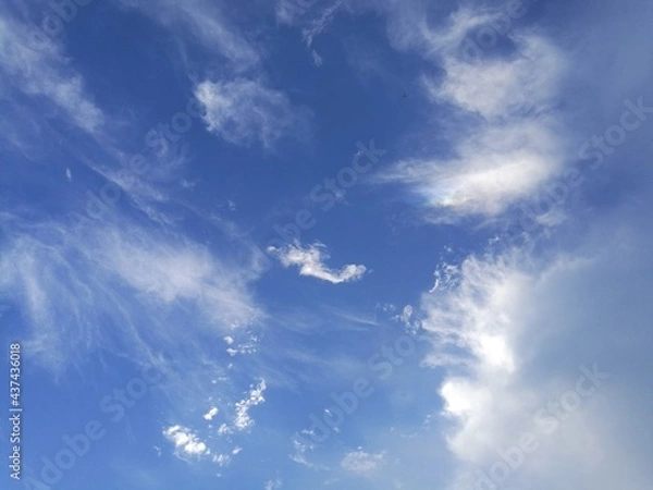 Obraz airplane in the sky