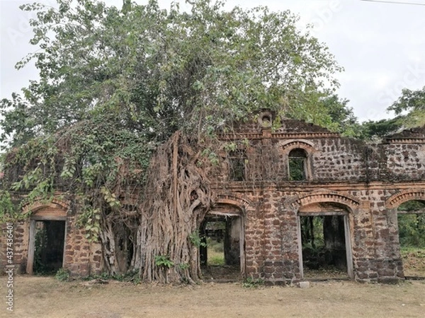 Obraz old abandoned house
