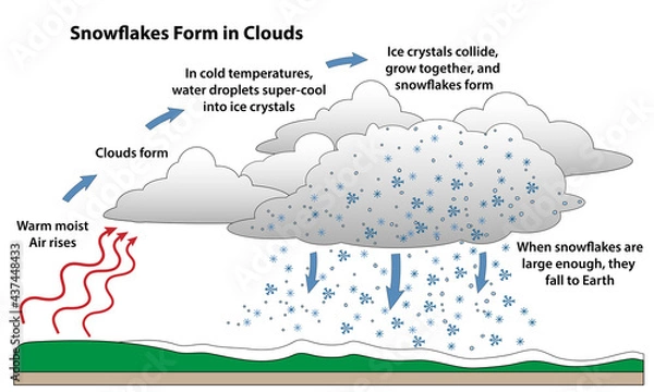Obraz Snowflake formation in a science diagram. How snow forms into flakes as warm air rises and condenses. Cold temperatures cause water droplets to freeze into ice crystals that collide and grow together.