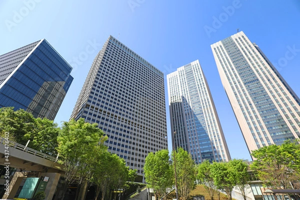 Fototapeta 新緑と霞が関のビル群