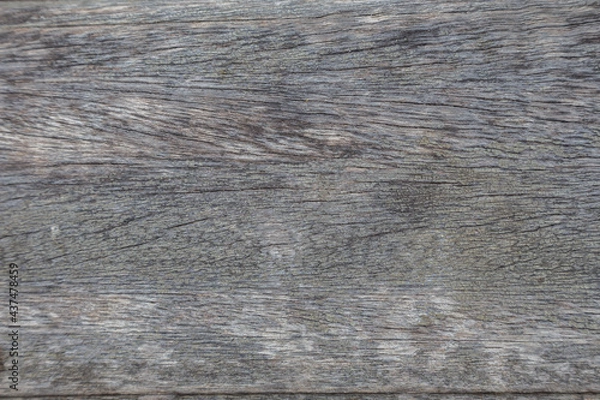 Fototapeta Tree bark texture woodbackground