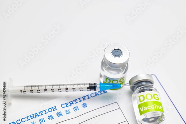 Obraz 犬の予防注射イメージ