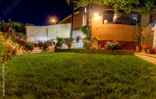 Fototapeta small garden at thr night
