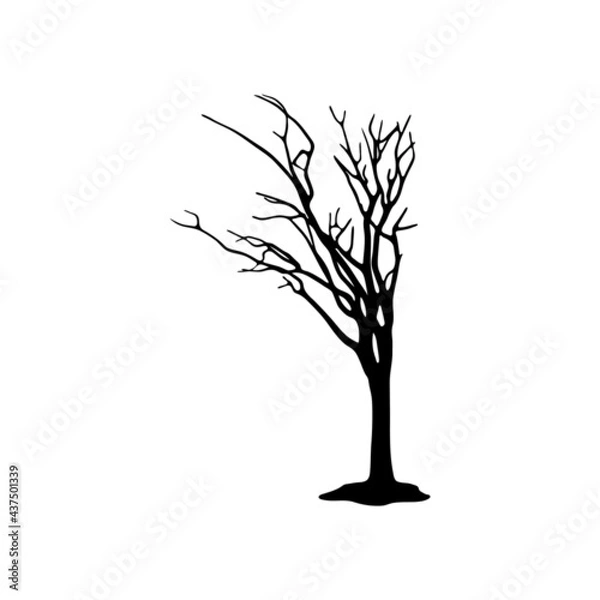 Obraz dead Tree silhouette on white background