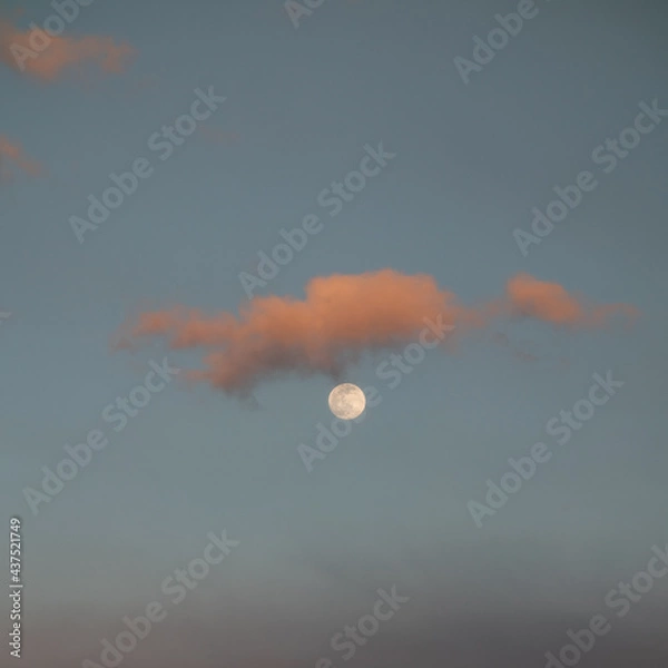 Fototapeta full moon in cloudy sky