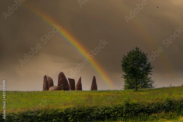 Obraz rainbow over the fields