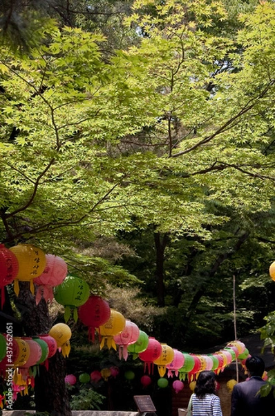 Fototapeta 길상사 나들이