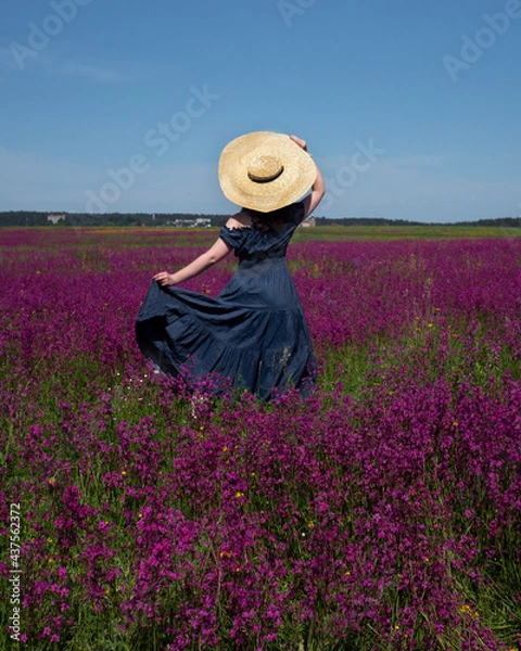 Obraz A girl in a blue long dress stands in a field with pink flowers. The girl has a large straw hat on her head. A girl in a field of flowers. Summer outdoor recreation. Blooming fields. Summer mood.