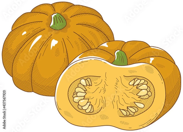 Fototapeta カボチャ