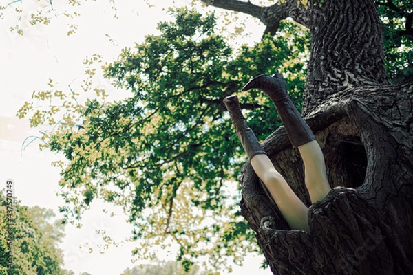 Obraz fun picture of lower section of shop window dummy in hollow trunk