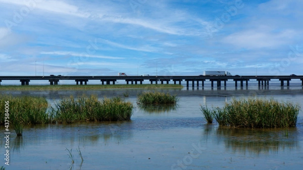 Fototapeta Interstate in Mobile and Alabama swamp landscape in summer
