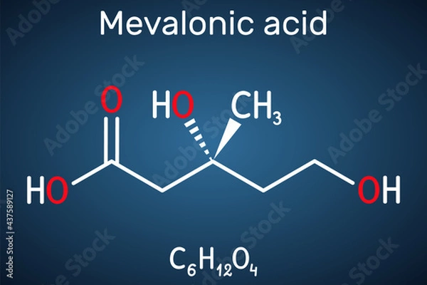 Fototapeta Mevalonic acid, MVA, R-mevalonic acid molecule. It is precursor in the mevalonate pathway, carboxylate anion is mevalonate. Structural formula on the dark blue background
