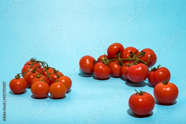 Fototapeta Tomates cerises en grappe sur un fond bleu clair