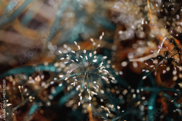 Fototapeta ingredient colour 2