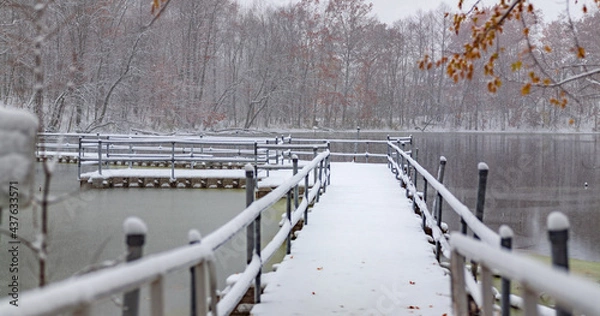 Obraz Bridge over lake in winter forest