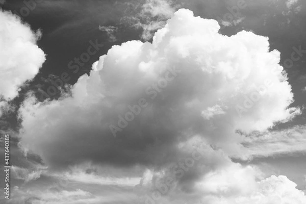 Obraz clouds in the sky