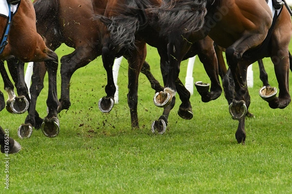 Obraz Horse racing action