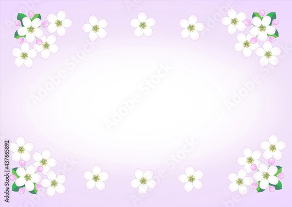 Obraz リンゴの花のフレーム