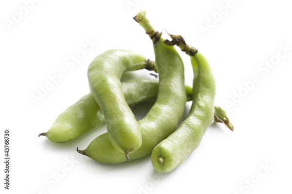 Obraz broad beans on white background