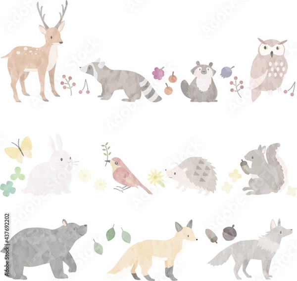 Obraz 水彩風の森の動物たちのイラスト(罫線)