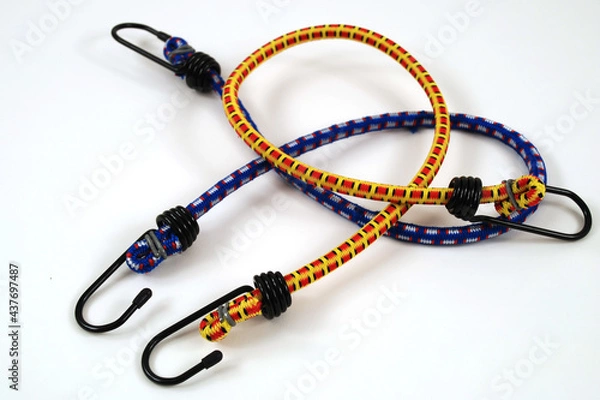 Obraz Bungee cords