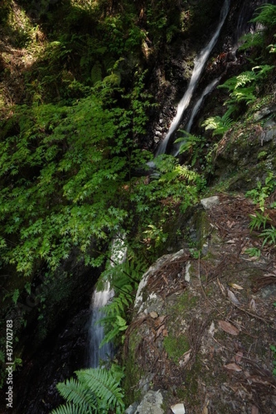 Fototapeta 宇治田原の大滝（京都府綴喜郡宇治田原町）