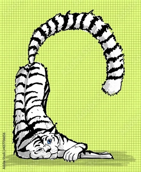 Fototapeta Tiger