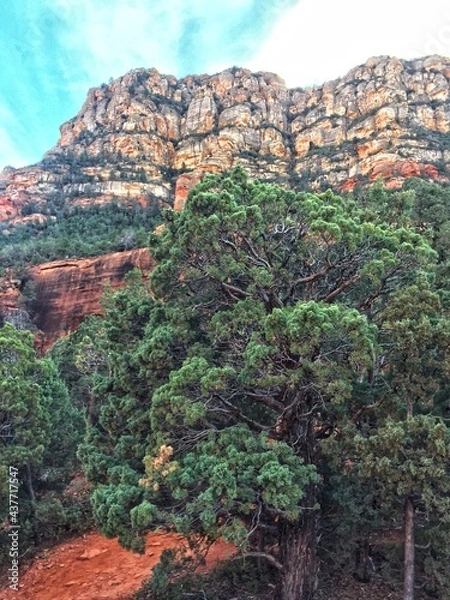 Fototapeta view from hike