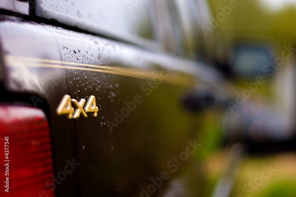 Obraz 4x4
