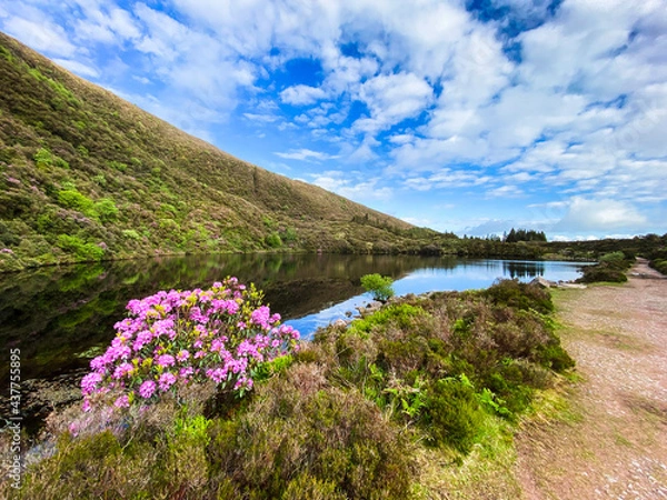 Fototapeta Bay Lough lake in Clogheen, county Tipperary in Ireland. The lake sits on a slope in the midst of the Knockmealdown mountains, looks like a mirror due to its black water and is surrounded by green for
