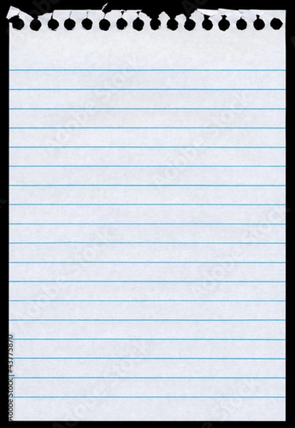 Obraz White lined blank torn notepaper page isolated black background.