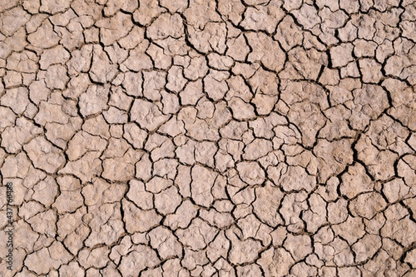Obraz Dry cracked desert ground, texture