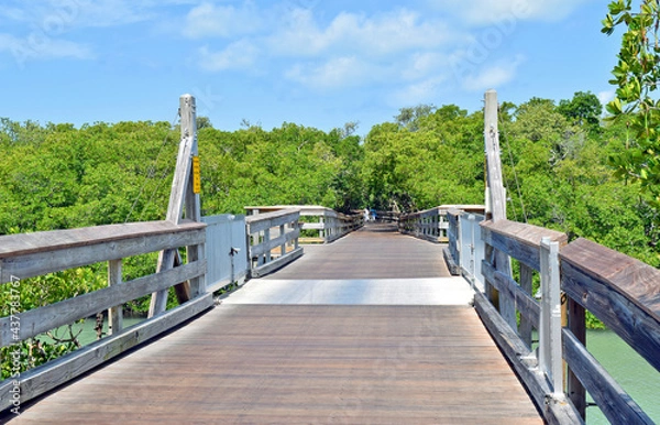 Fototapeta Boardwalk Through the Mangroves Leading to Clam Pass Beach, Naples, FL
