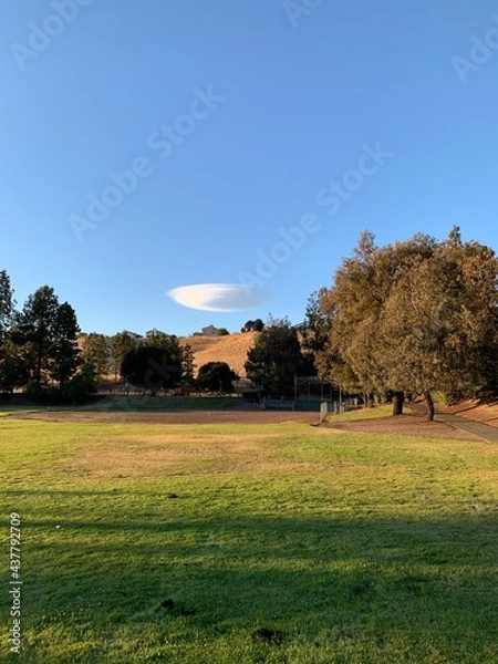 Obraz golf course at sunset