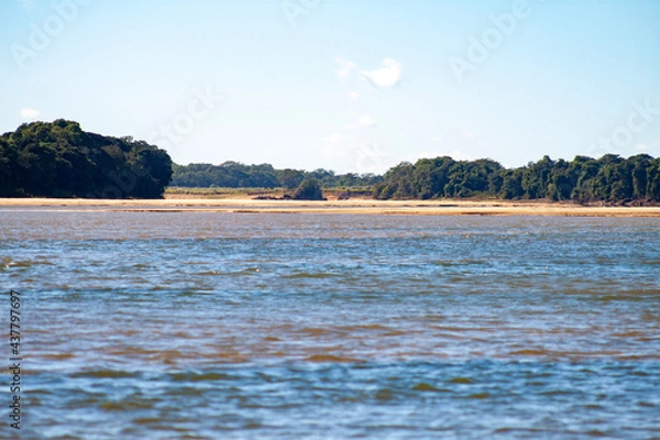 Fototapeta lake and forest