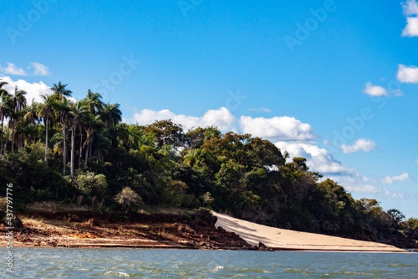 Fototapeta beach with palm trees