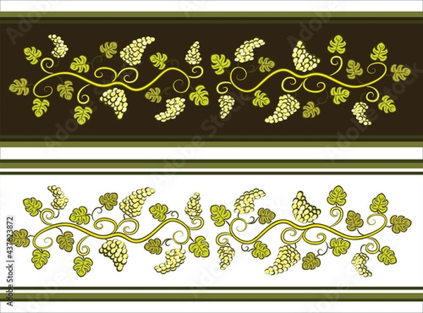 Fototapeta Dividers with grapes. Branch with leaves. Winery decoration. Hand drawn colored vines. Vector print illustration