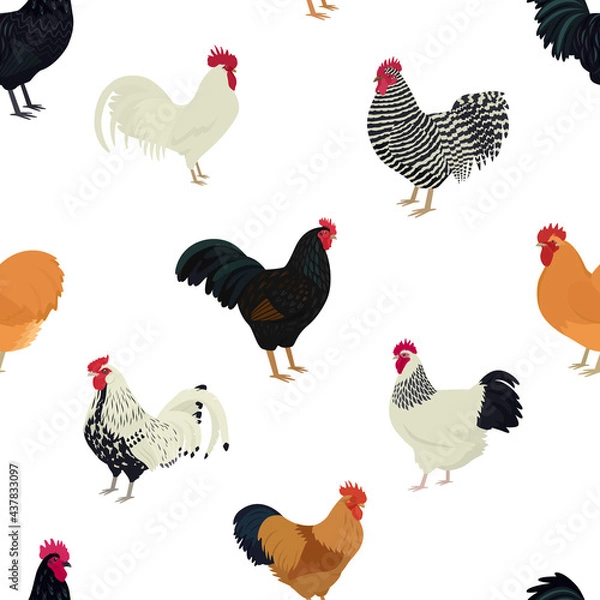 Obraz Roosters Seamless pattern Flat  vector illustration Farming today