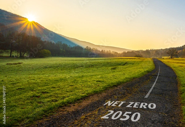 Obraz Net Zero 2050
