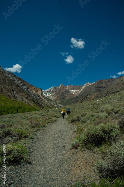 Obraz John Muir Wilderness