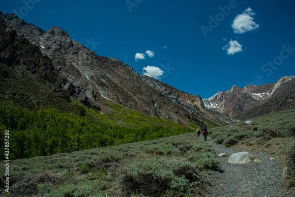 Obraz John Muir Wilderness