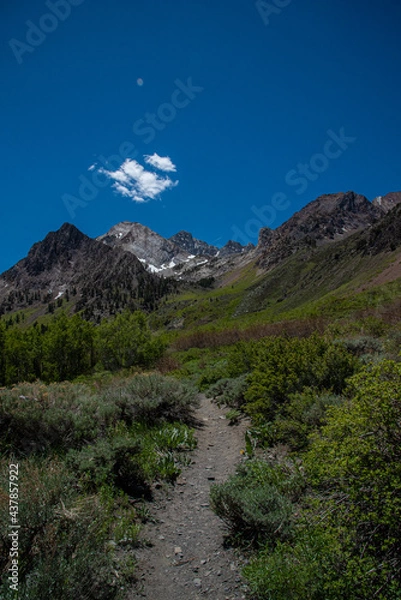 Obraz John Muir Wilderness