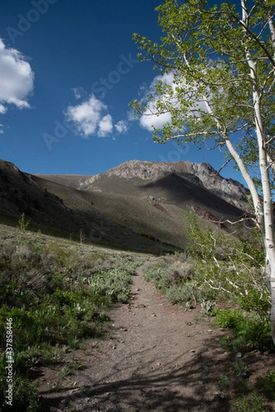 Obraz John Muir Wilderness